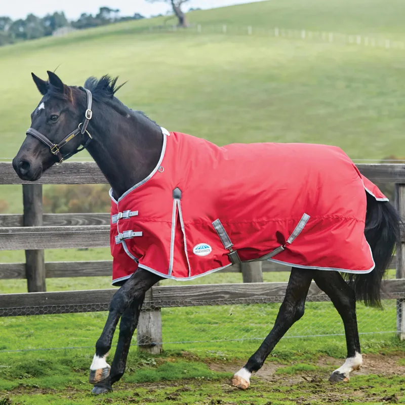 Whitaker Rastrick Turnout rug 100g Red